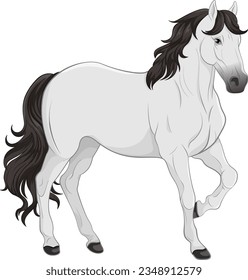 White horse cartoon isolated illustration