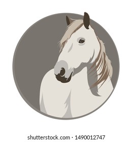 White horse in a circle. Horse logo. Vector illustration of horse.
