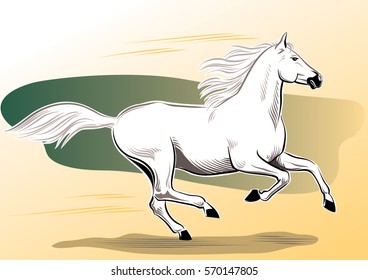 Cheval Blanc Galop Images Et Images Vectorielles De Stock Shutterstock