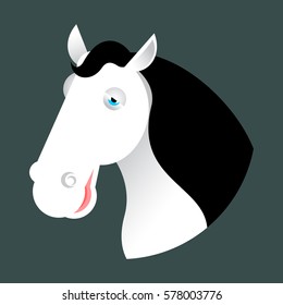 White horse head. Muzzle hoss isolated on white background
