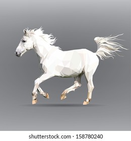 white horse isolated on a gray background