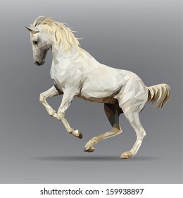 white horse isolated on a gray background