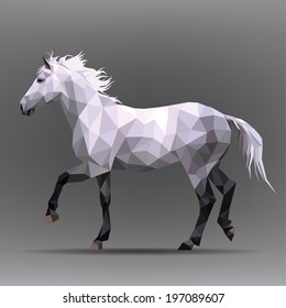 white horse isolated on a gray background