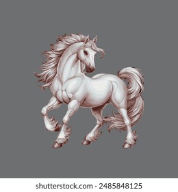 white horse on a black background illustrations