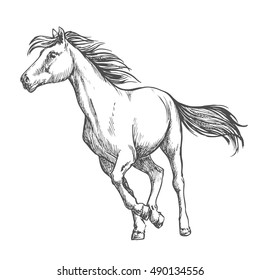 2,288 Horse pencil sketch Stock Vectors, Images & Vector Art | Shutterstock