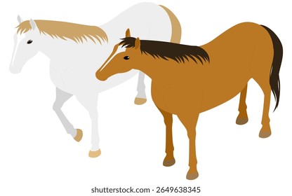 A white horse standing and lifting its front legs, Vector Illustration