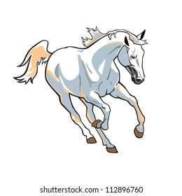 white horse, vector picture isolated on white background,front view image,running stallion