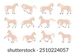 White horses. Thoroughbred domestic animals, white graceful horse in different poses, farm or ranch animals flat vector illustration set. Cartoon horses collection