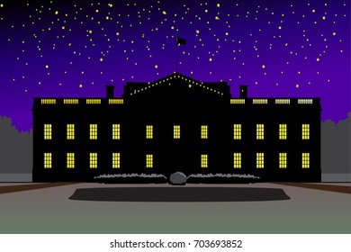 White House detailed at night vector drawn