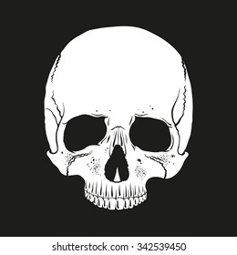 White human skull on a black background. Flat sketch style vector design.