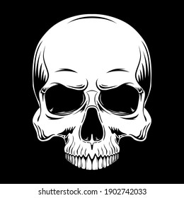 White human skull without lower jaw  Vector illustration black background 