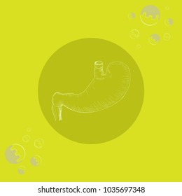 White Human  Stomach on Round Substrate Placed on the Color Background with Simplified Enzymes. Human Anatomy Vector.