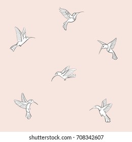 White hummingbird on a coral background. Colibri. Drawing with a black outline. Vector seamless pattern.