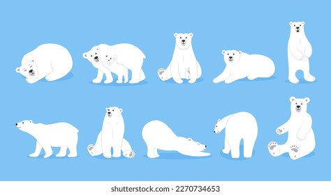 White ice polar bear set, cute animal friends in different poses. Nature arctic wildlife, standing zoo mammal, winter polarity. Tundra north predator. Vector cartoon utter illustration