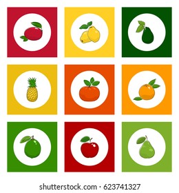 White Icons Tropical Fruits on Colored Background, Mandarin and Lime , Mango and Pineapple, Red Apple and Grapefruit, Pear and Quince, Avocado, Vector Illustration 