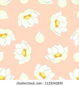 White Indian lotus on Light Pink Background. (Nelumbo nucifera,sacred lotus, bean of India, Egyptian bean. National flower of India and Vietnam) Vector Illustration. 