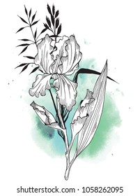 White Iris flower with grass on green texture watercolor background. Hand drawn vector illustration for floral design. For invitation, greeting cards, textile, paper and wrapping