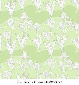 White iris on green background