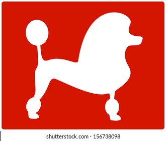 White Isolated Dog Poodle Icon On Red Background 