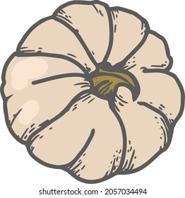 white isolated fall pumpkin on white