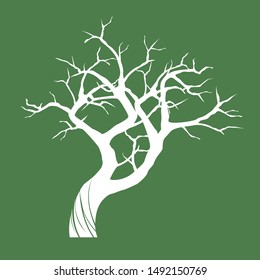 White Isolated Olive Tree on green background. Vector Illustration and concept. Plant in garden.