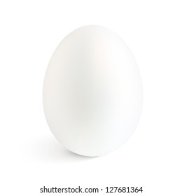 White isolated vector realistic egg with shadow