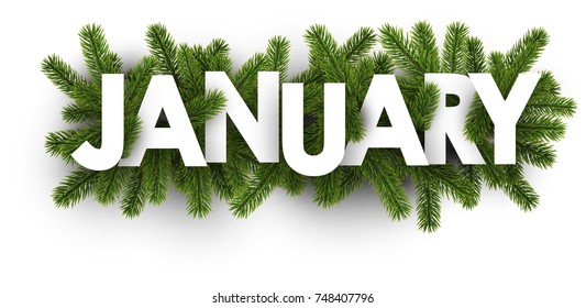 White january banner with green fir branches. Vector illustration.