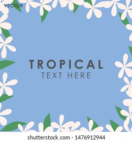 White Jasmine Flower Frame, Vector illustration design element