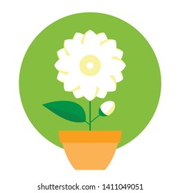 white jasmine flower with leaf on pot vector
