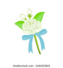 White Jasmine Flower on white background