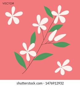 White Jasmine Flower, Vector illustration design element