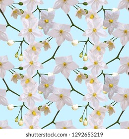 White Jasmine Flowers Vector Seamless Pattern