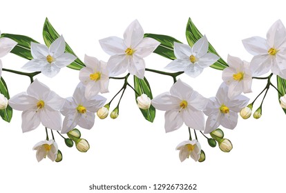 White Jasmine Flowers Vector Seamless Pattern
