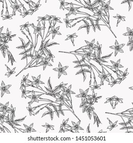 White jasmine seamless pattern. Jasminum officinale flowers and leaves. Summer plants hand drawn. Vector botanical illustration. Black and white graphic.