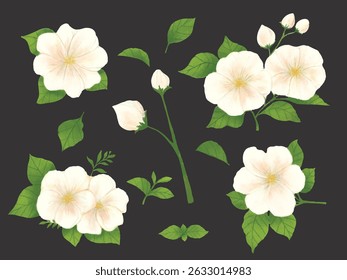 White Jasmine Watercolor Clipart – Elegant Floral Set with Leaves. Perfect for wedding invitations, greeting cards, botanical prints, logo design, packaging, and  stationery