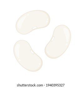 White kidney beans vector. White kidney beans on white background.