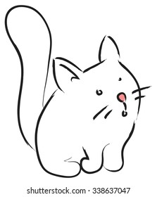 White Kitten