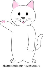 A White Kitten introducing with white background