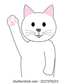 Gatito blanco levantando una mano con fondo blanco