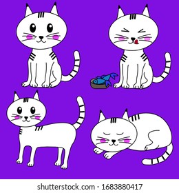 white kitten set on a purple background