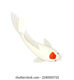 White koi fish with orange spot swimming in pond illustration. White Japanese carp or Chinese goldfish in water on white background. Garden, traditional fishery concept