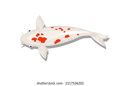 
vector de pez koi blanco con manchas rojas