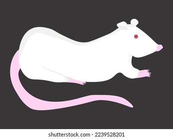 White lab rat, cute pet rodent vector illustration