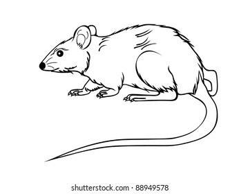 1,190 Lab rats cartoon Images, Stock Photos & Vectors | Shutterstock