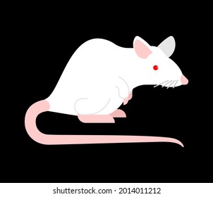 Ratón blanco de laboratorio aislado. ilustración de vector de ratones
