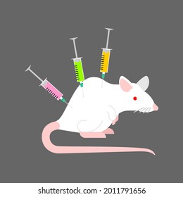 White laboratory mouse and syringe. Laboratory research