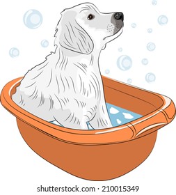 white labrador retriever puppy caught in a pan to wash and soap bubbles