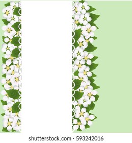 White lace area for inscriptions on the background of flowers and green leaves of apple trees. Invitation or greeting card. Vector illustration, isolated on a white background.