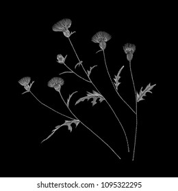 white lace. Traditional folk flower fashionable embroidery on the black background. A bouquet of roses and a dog rose, for printing on clothes, vector