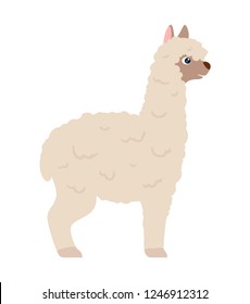 White Lama Alpaca Side View Vector Stock Vector (Royalty Free) 1246912312